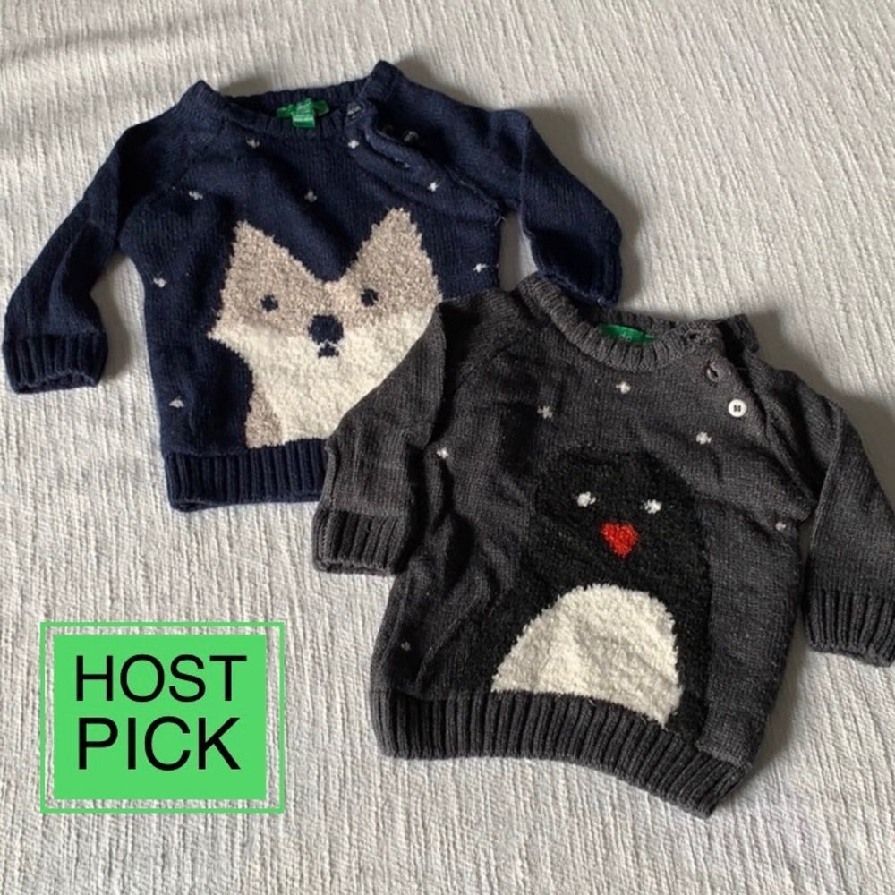Sweater set 3-6M wintertime penguin & fox